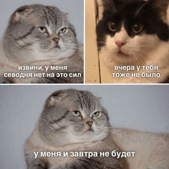 Расходы и накопления 8-14 июня 👇👇👇

Расходы личные:
- 27 500₽ – оплата рекламы для канала в МАХ и