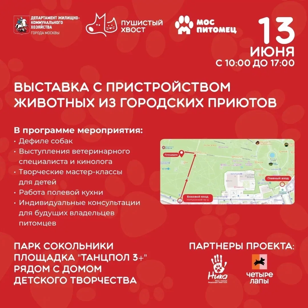 «Пушистый хвост» улизнул в Сокольники!

13 июня в парке «Сокольники» пройдет выставка с пристройство