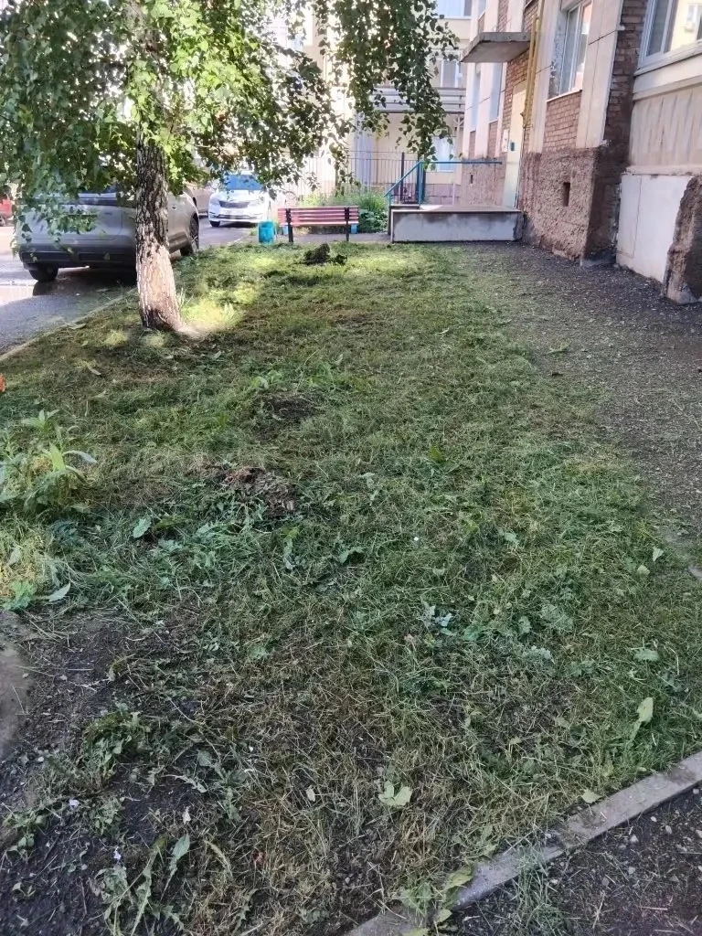 УК «Альянс» провела сегодня покос газонов сразу по нескольким адресам:
🔹Маяковского 47, 51 (позади 