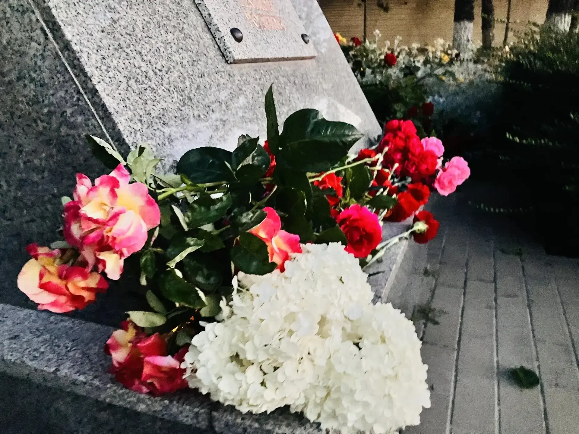 22 июня. Новороссийск. 04:00.

Ровно в четыре утра, когда небо над Новороссийском ещё тёмносинее, и