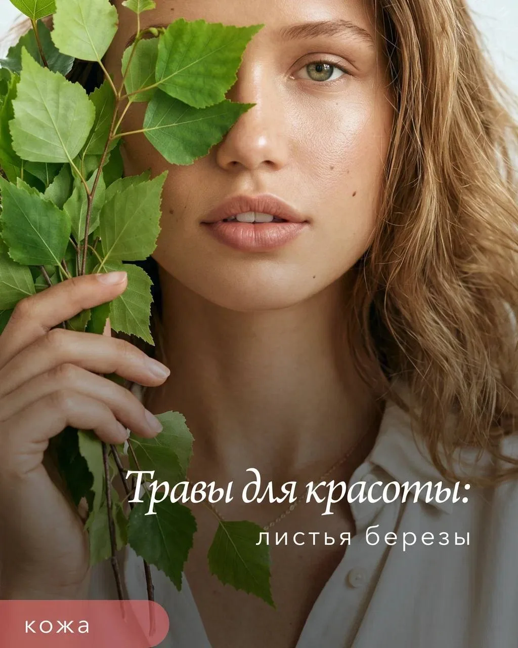 Березовый лист — май и июнь ☀️
Больше такого не будет до следующего года.

Береза - дерево удивитель