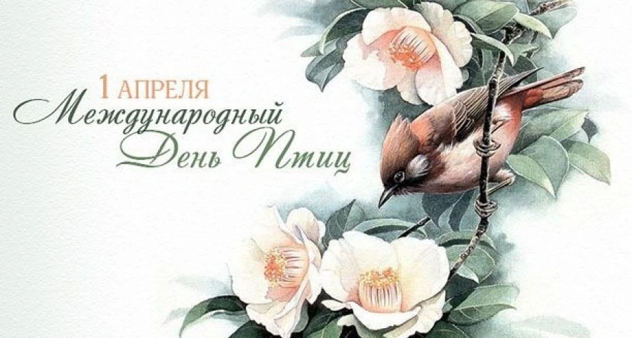 Первое апреля — важная экологическая дата — Международный день птиц.Согласно популярной версии, Межд