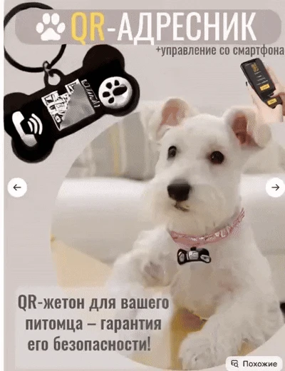 Забудьте про «потерялся». Чёрная косточка с QR. Навёл — позвонил. Проще не бывает.