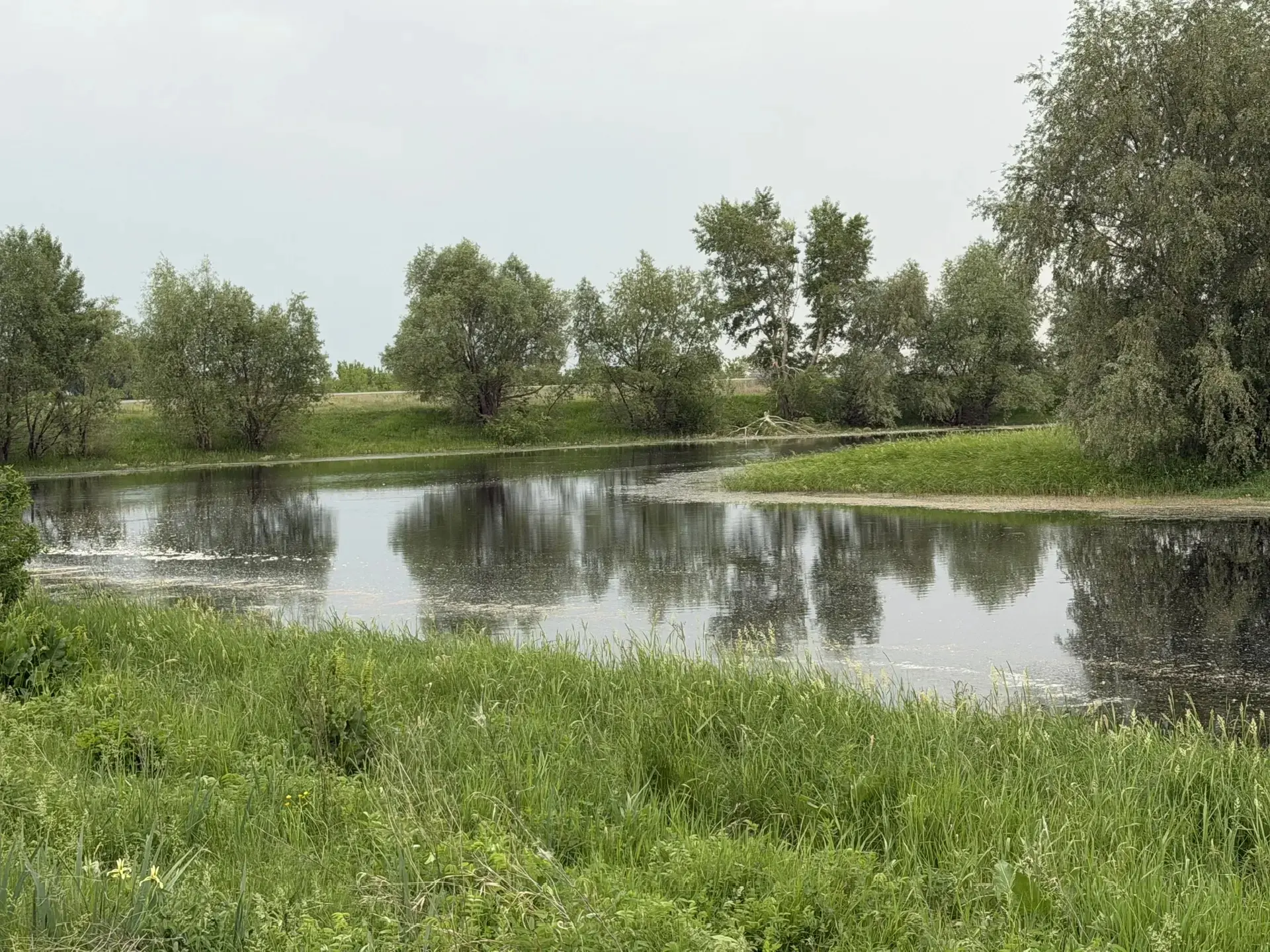 Лето, солнце, жара — прекрасное время для отдыха возле воды. 🌞
❗❗❗Но вода таит в себе многие опасно