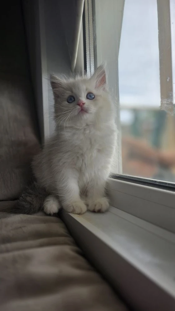 Всем добра 🥰