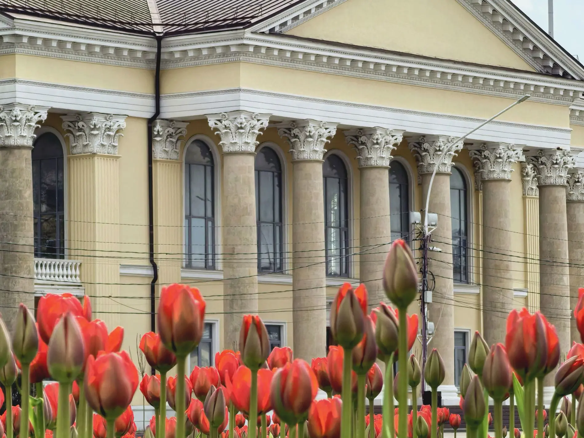 🏛️ В настоящее время проводится модернизация сайта библиотеки

Обновление происходит поэтапно, неко