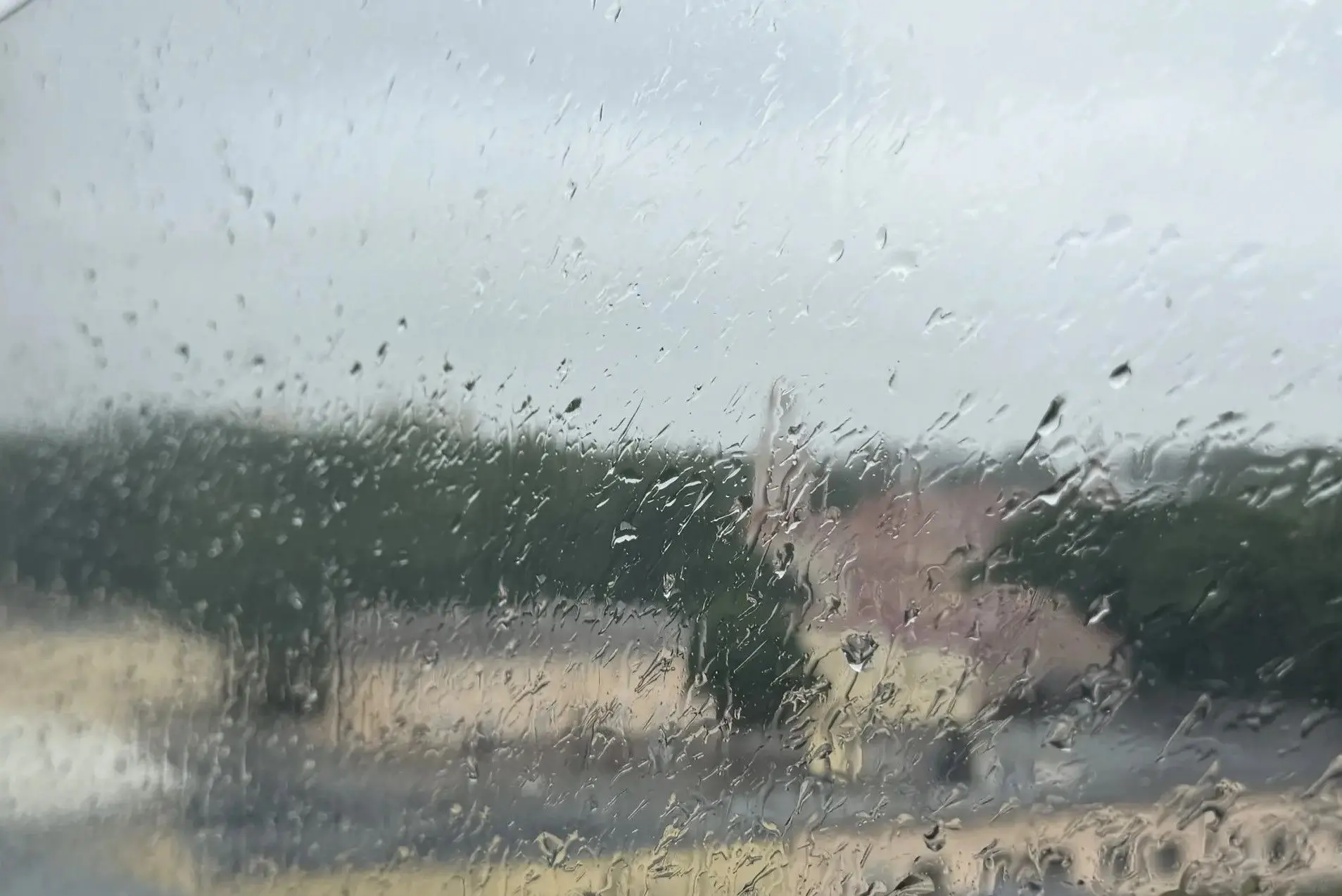 🌧️ Дождь за окном — отличный повод заняться делами дома!

Пока Петербург умывается под летним дождё