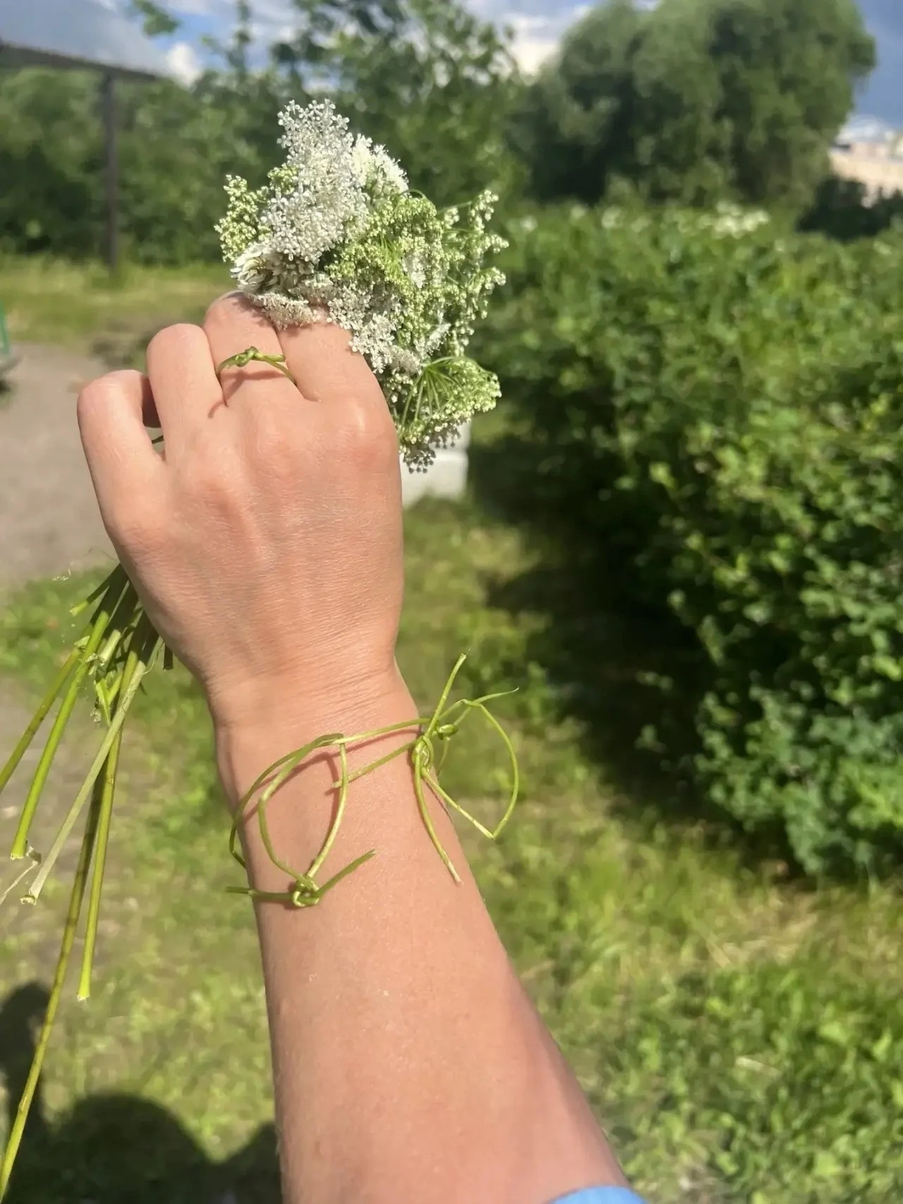 НОВОСТИ ДЕТСКОГО САДА
Модный показ от природы! Браслет, кольцо и бусы за пять минут. Тренд сезона — 