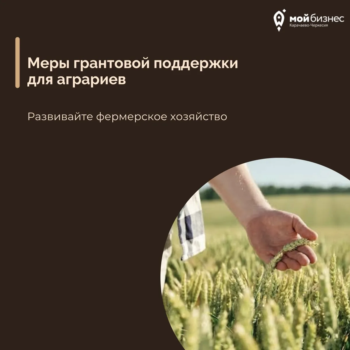 📢 Уважаемые сельхозтоваропроизводители!

9 июня в 11:00 в региональном центре «Мой Бизнес» состоитс