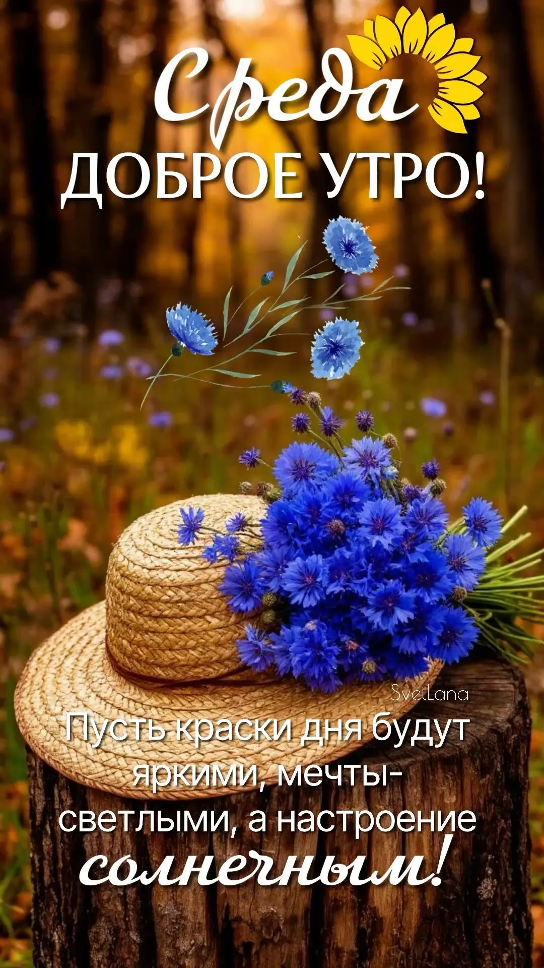 💌 Красивые открытки