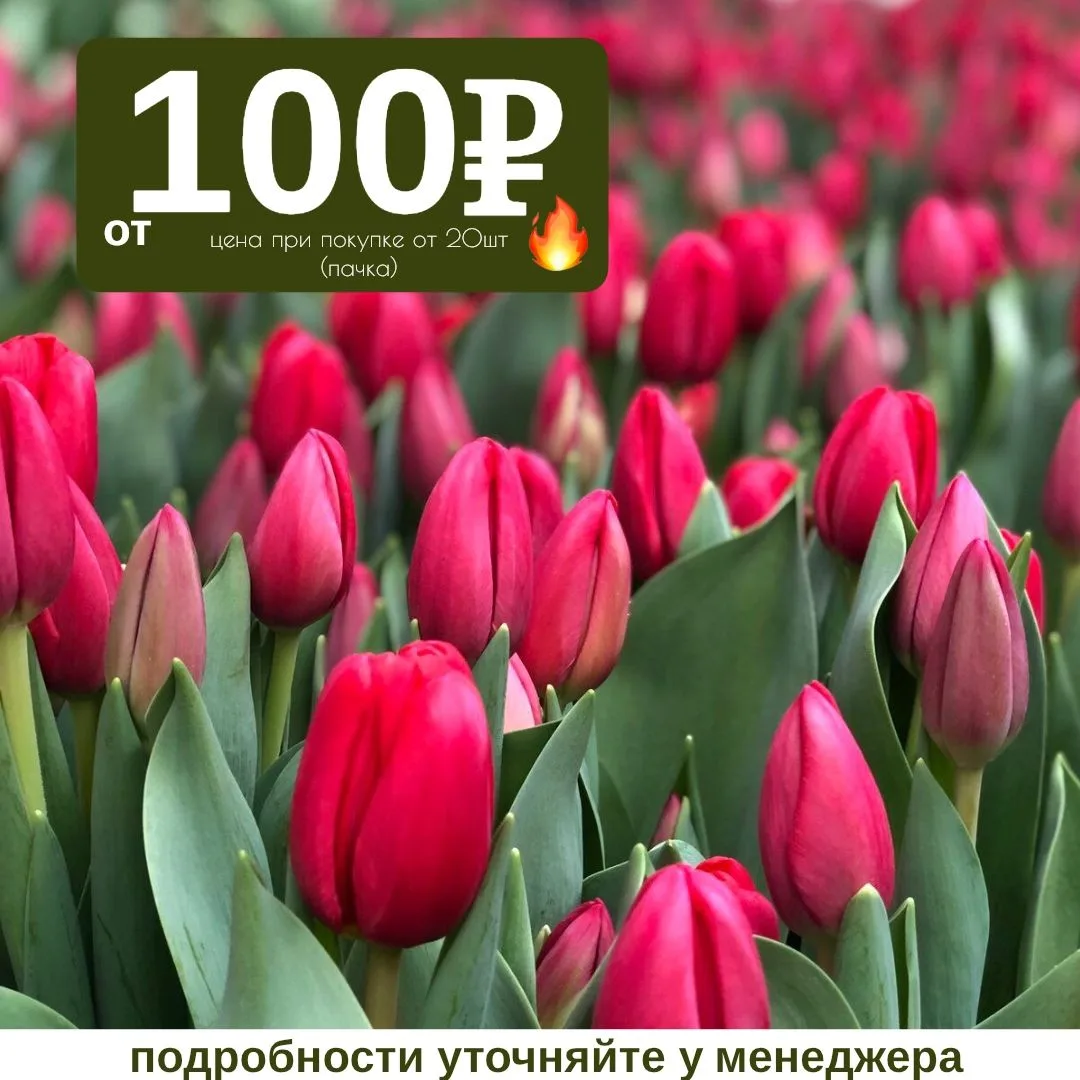 👋Добро пожаловать в нашу группу! 

🫶Никаких «лучших цен в городе!», просто качество, которому пров