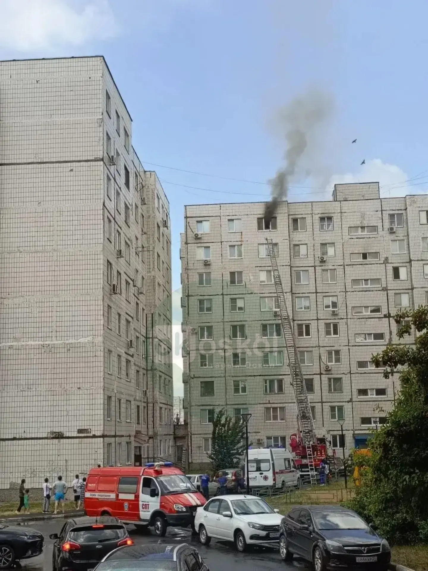 🔥Пожар на 9-м этаже в доме №2 на Конева. Все службы на месте. 

Подробностей пока нет.

UPD: по сло