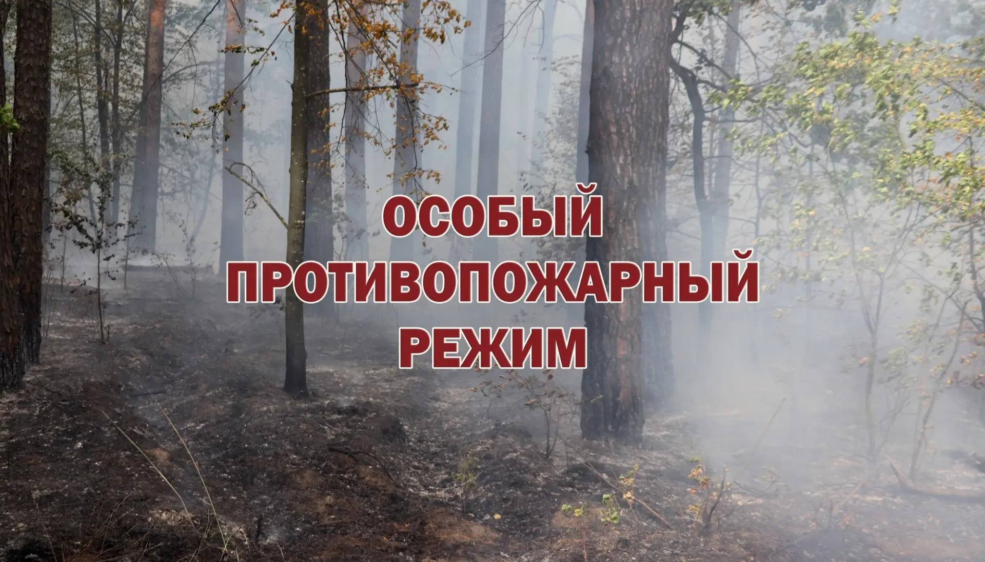 За нарушения особого противопожарного режима предусмотрены штрафы

В этот период действуют ограничен