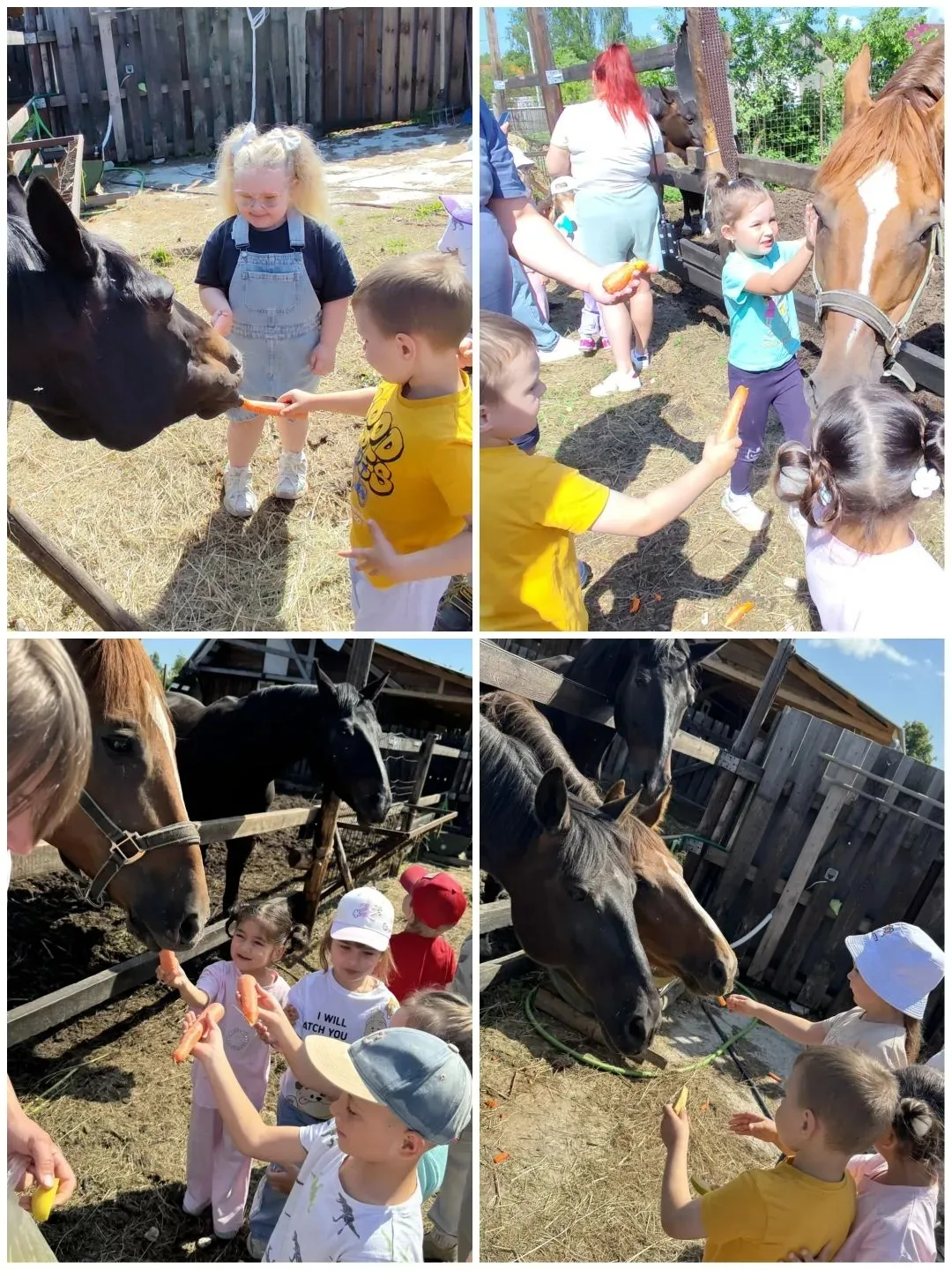 🐎🌟Наши воспитанники побывали на экскурсии в конном дворе села Иваново.🐎

🏇🏼Хозяйка Надежда Евге