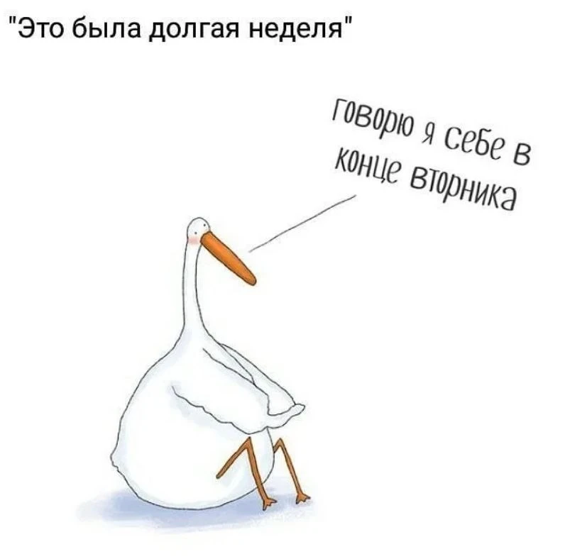 #Смешное_SL

Написать мне 🙂
