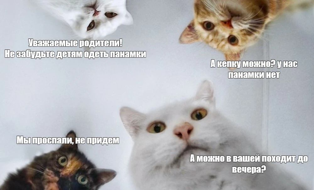 ☀️ Заботимся о здоровье наших ребят!

Лето в самом разгаре, и солнышко в нашем пришкольном лагере пр