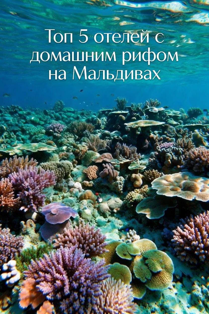 🌊 ТОП-5 отелей с великолепным домашним рифом на Мальдивах 🐠

Если для вас сноркелинг и подводный м