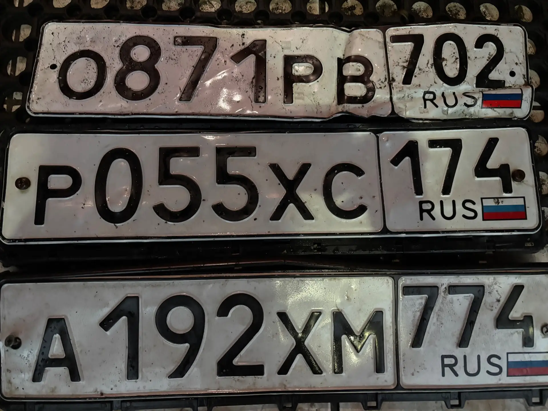 Чьи потеряшки🤷‍♂️на Кирова 70 плавали