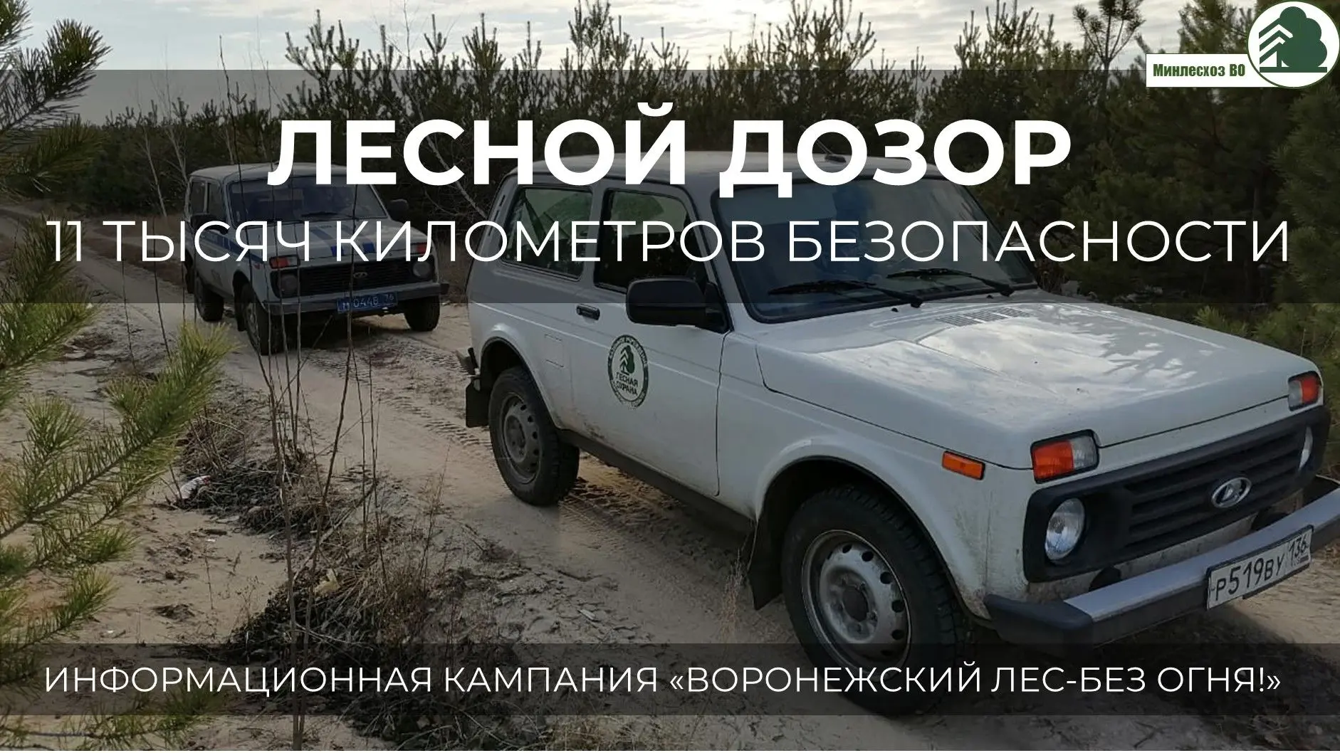 Задумывались ли вы когда-нибудь, насколько огромна территория лесного фонда Воронежской области и ка
