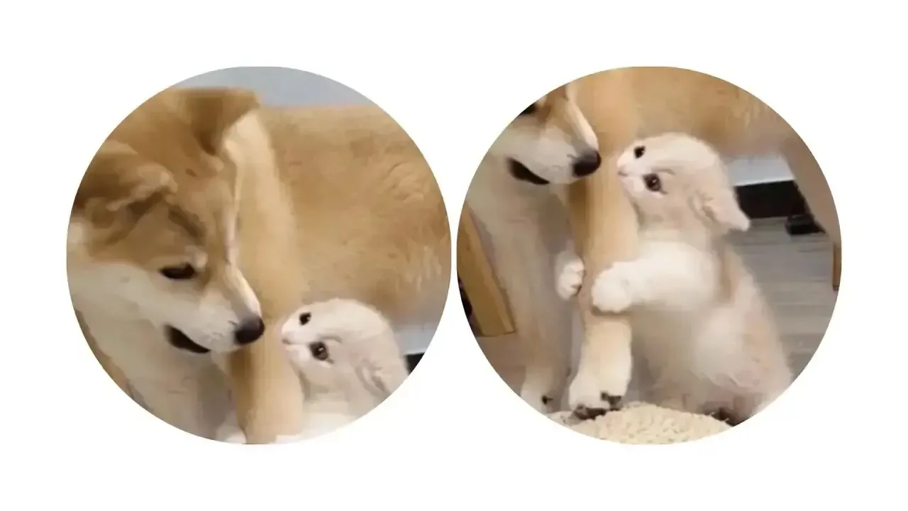 ❤️ - поставим
🖤 - мне не нравится