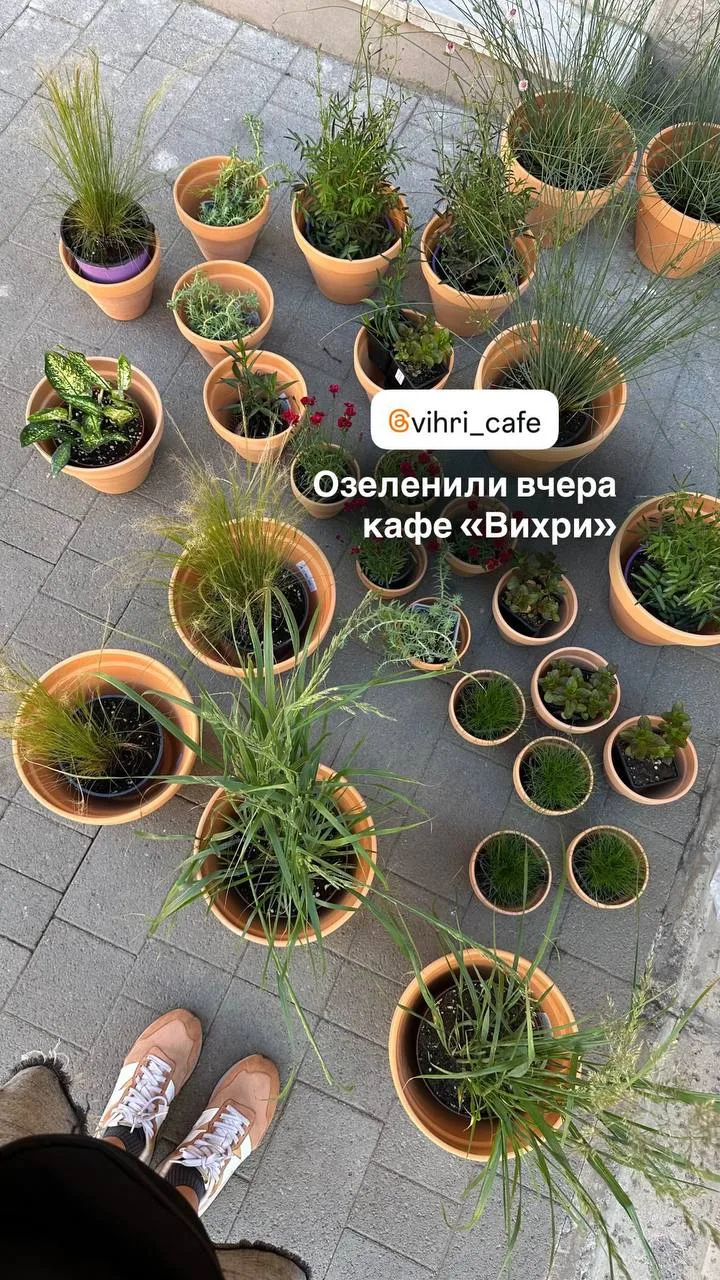 Озеленили с моими выпускницами кафе в центре Петербурга.