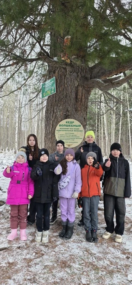 🌳 «Волшебный» кедр борется за титул «Российское дерево года — 2026» 

🌳 Каждый из жителей Нижней С
