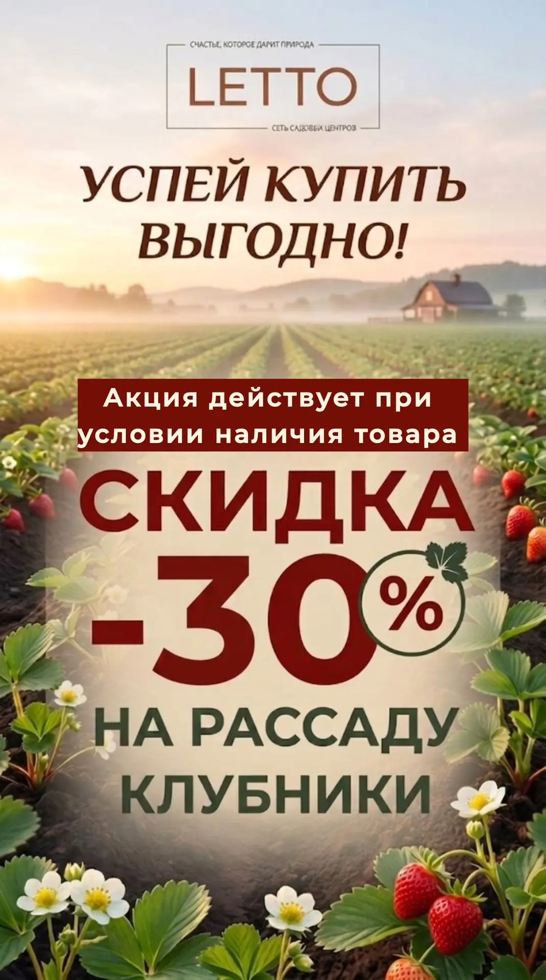 Скидка 30% на рассаду земляники и саженцы винограда!🎉🎉🎉

🍓B LETTO представлены сладкие и совреме