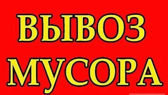 Что делать, если вовремя не вывозят мусор? Восстановите порядок с помощью телефона и «Госуслуги Дом»