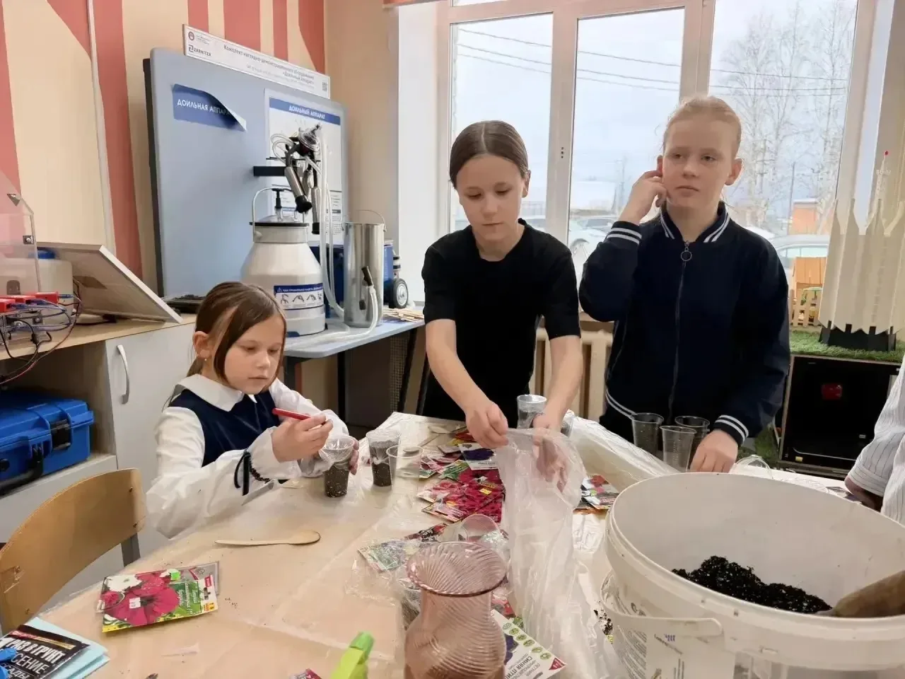 🌸 Красота из зернышка: как мы вырастили лето!

💚 Три месяца добрые руки учащихся и педагогов с люб