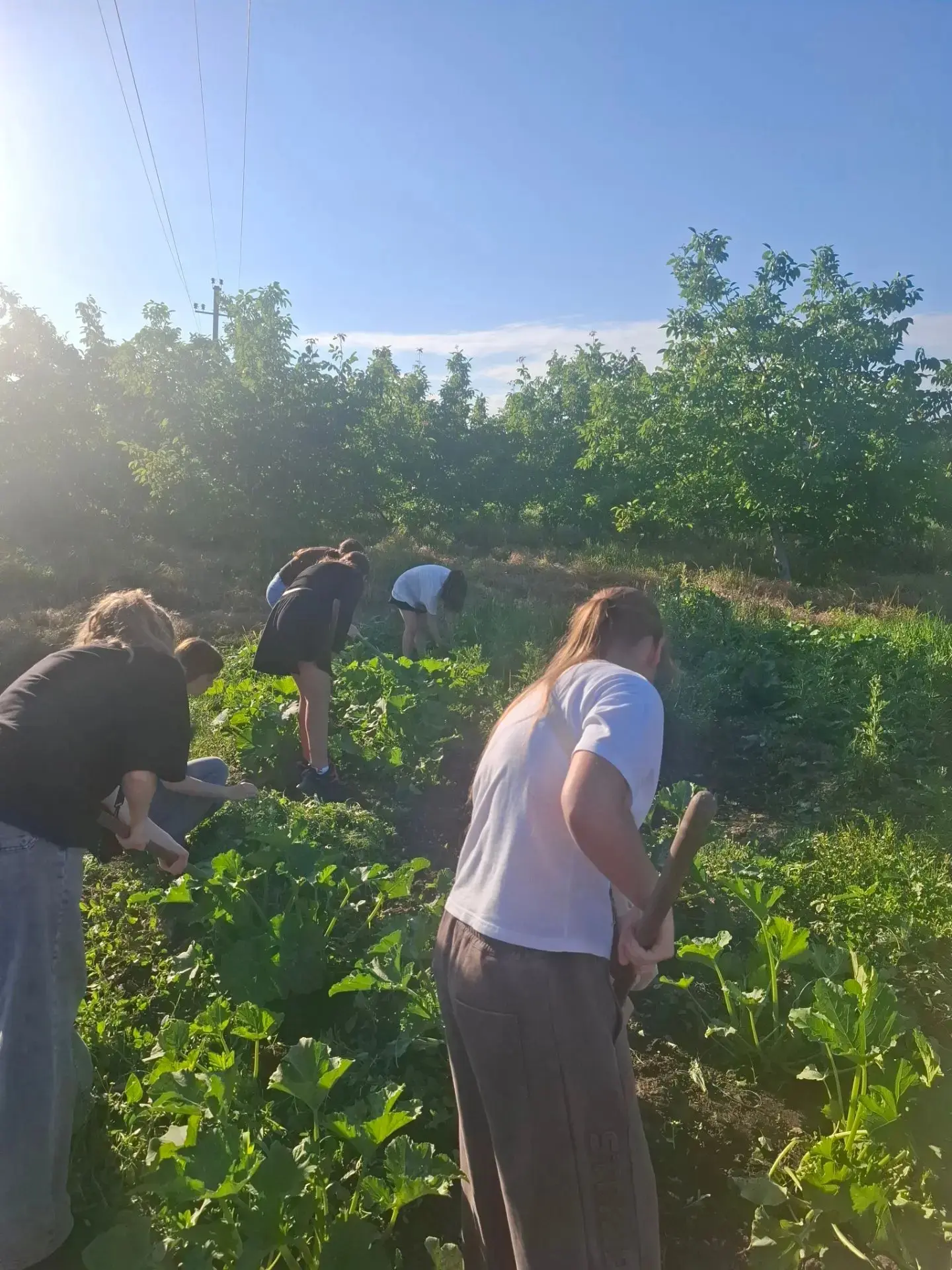 ✨Ежедневно по вечерам вечерняя тематическая площадка нашей школы наполняется девочками и мальчиками.