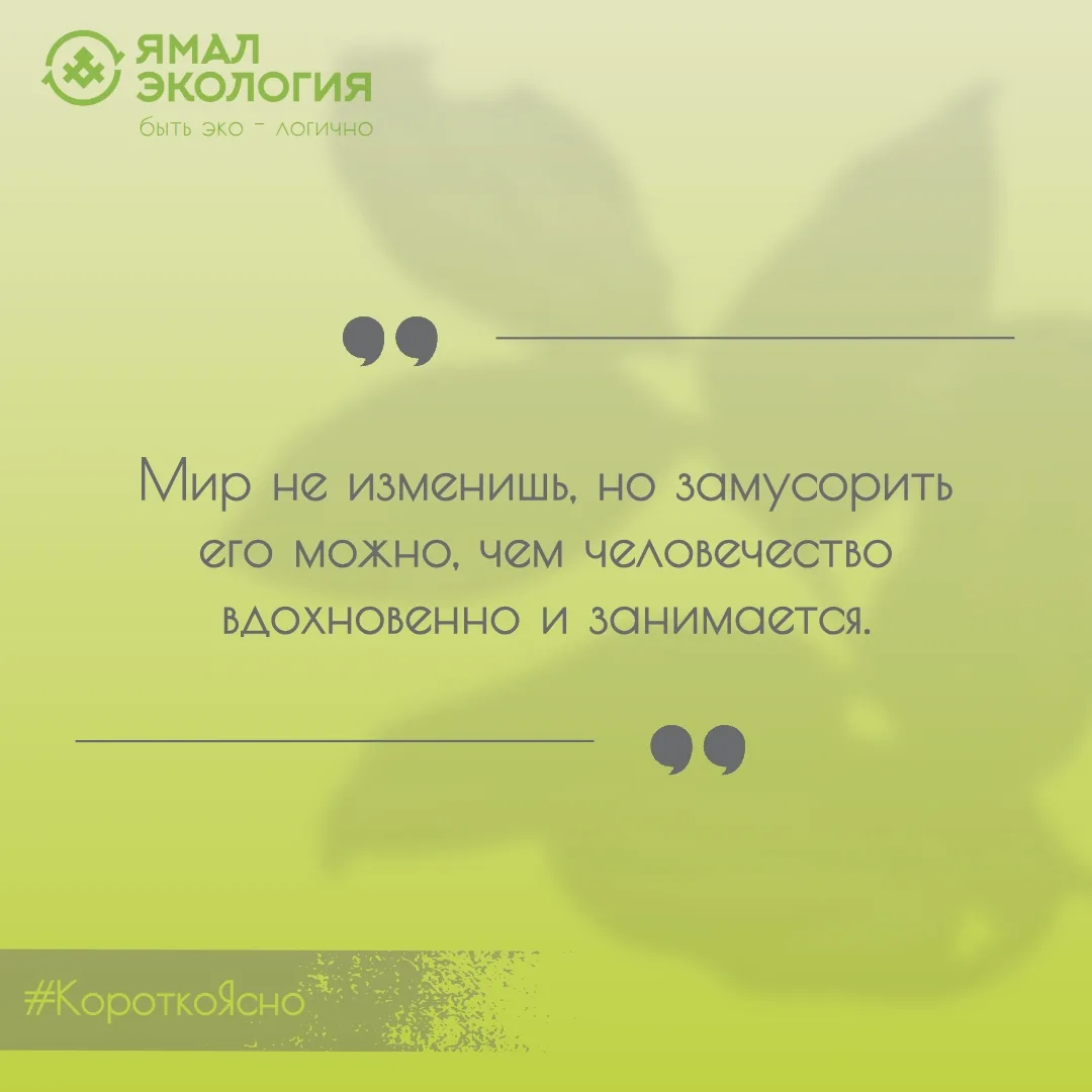 План на день - изменить мир.

Удачной недели и, конечно, доброго утра! 💚

#КороткоЯсно #ЯмалЭкологи