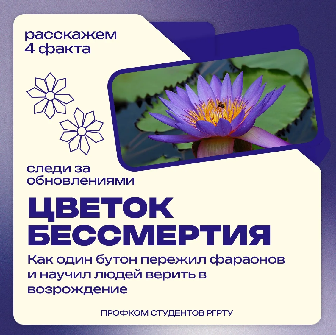 🔮Сегодня поговорим о цветах, которые изменили ход истории.

В Древнем Египте лотос был не просто ра
