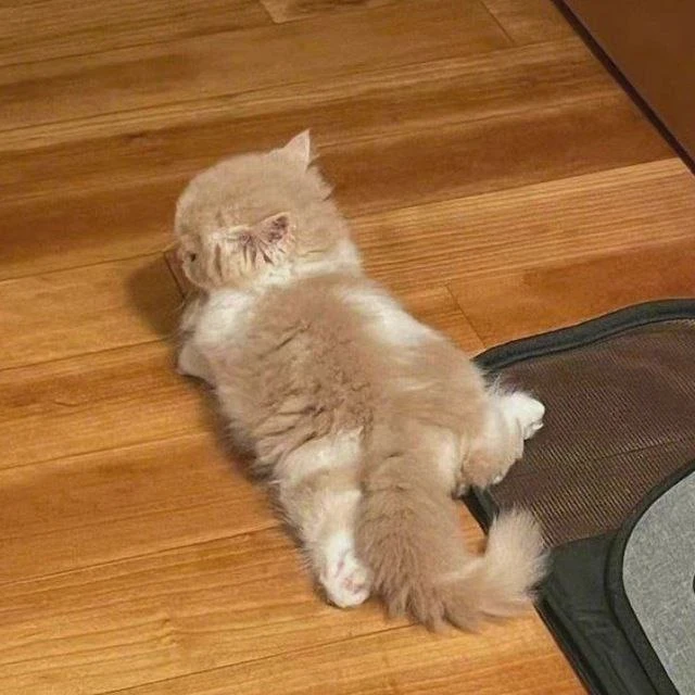 Не беспокоить 

милота - ❤️

🌟 Котейная. Котики и собачки Telegram | MAX