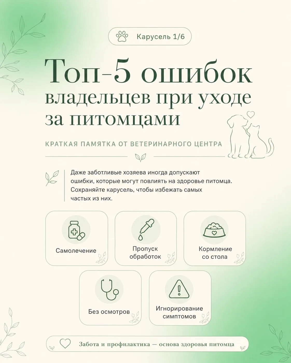 🐾Даже заботливые хозяева иногда допускают ошибки, которые могут повлиять на здоровье питомца.
Сохра