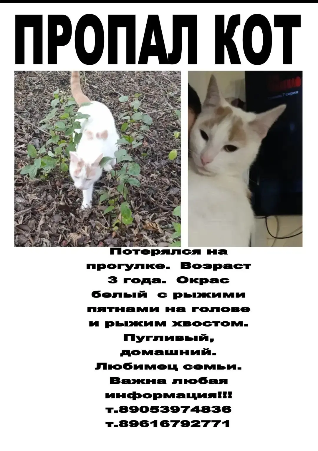 ЖК «Лазурный» | Написать пост