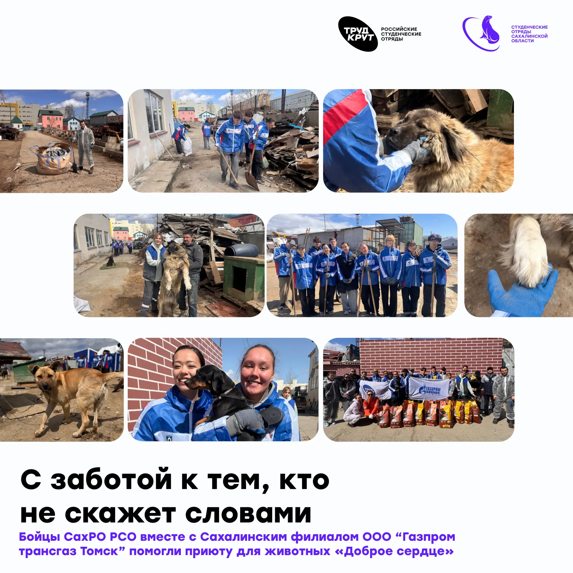 Бойцы Сахалинского регионального отделения РСО вместе с Сахалинским филиалом ООО "Газпром трансгаз Т