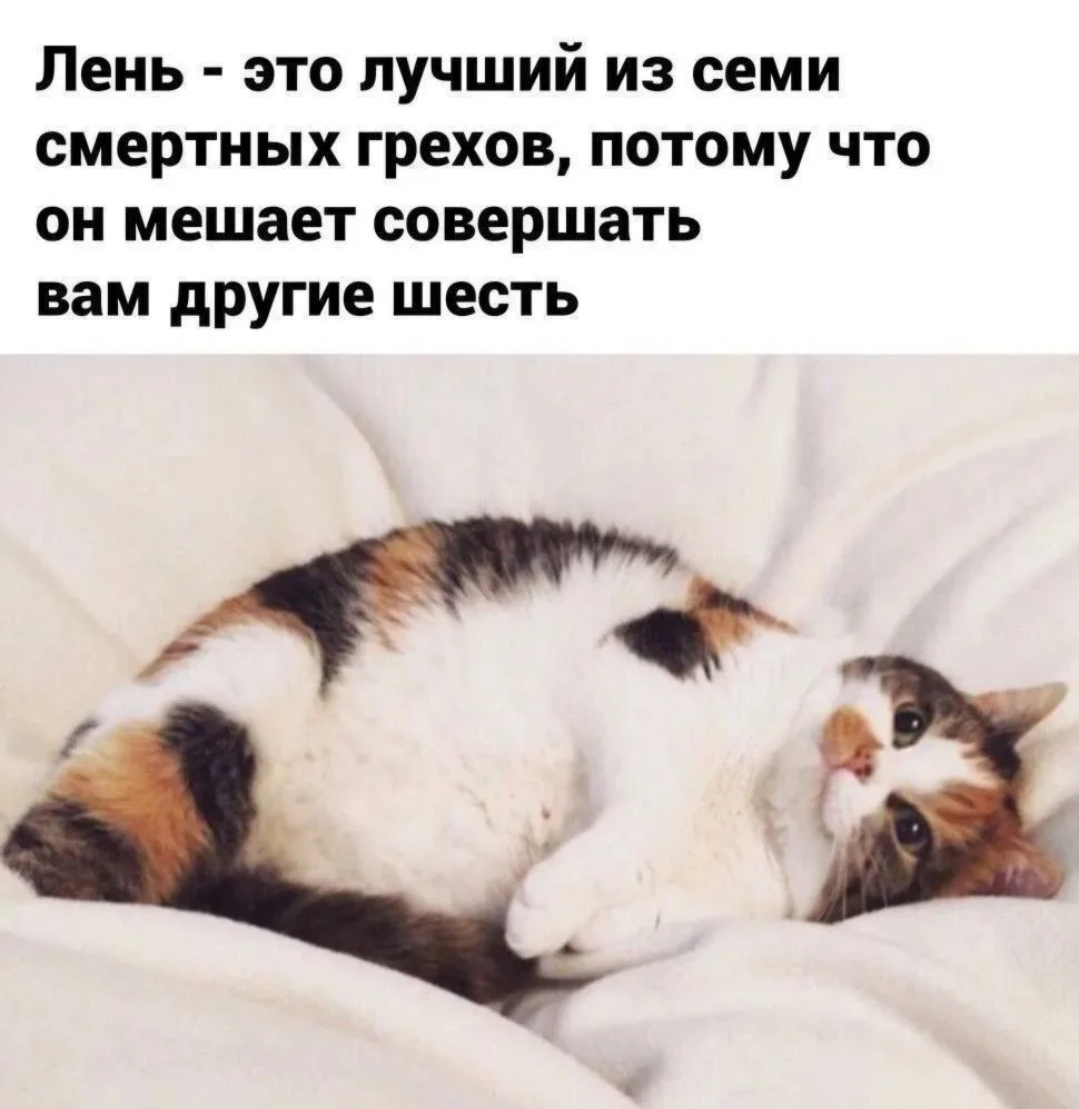 Котик глупостей не скажет😊

Подпишись ❤️