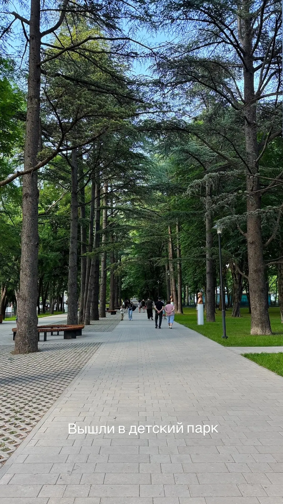 Люблю наш город,он такой зеленый 💚 на дорогах ,в парках большое количество деревьев 😍 

В прошлом 
