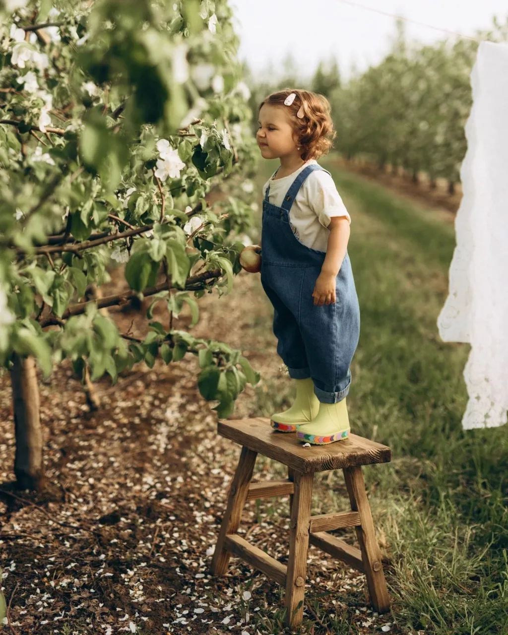 От цветка к яблоку: в саду начался очень важный период 🌸🔜🍏

Началась одна из самых важных фаз цик