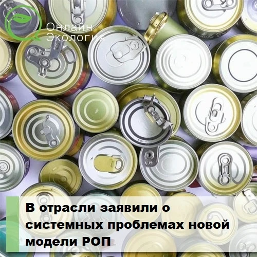В отрасли заявили о системных проблемах новой модели РОП 

Переработчики указали на сложности с испо