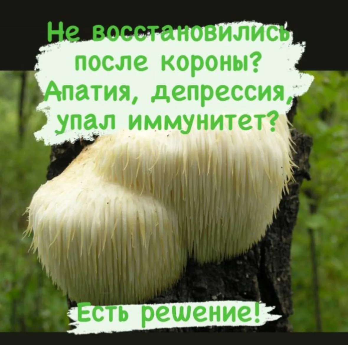 Если депрессия, апатия, состояние стресса, потеря памяти, сна, метеозависимость , снижение иммунитет