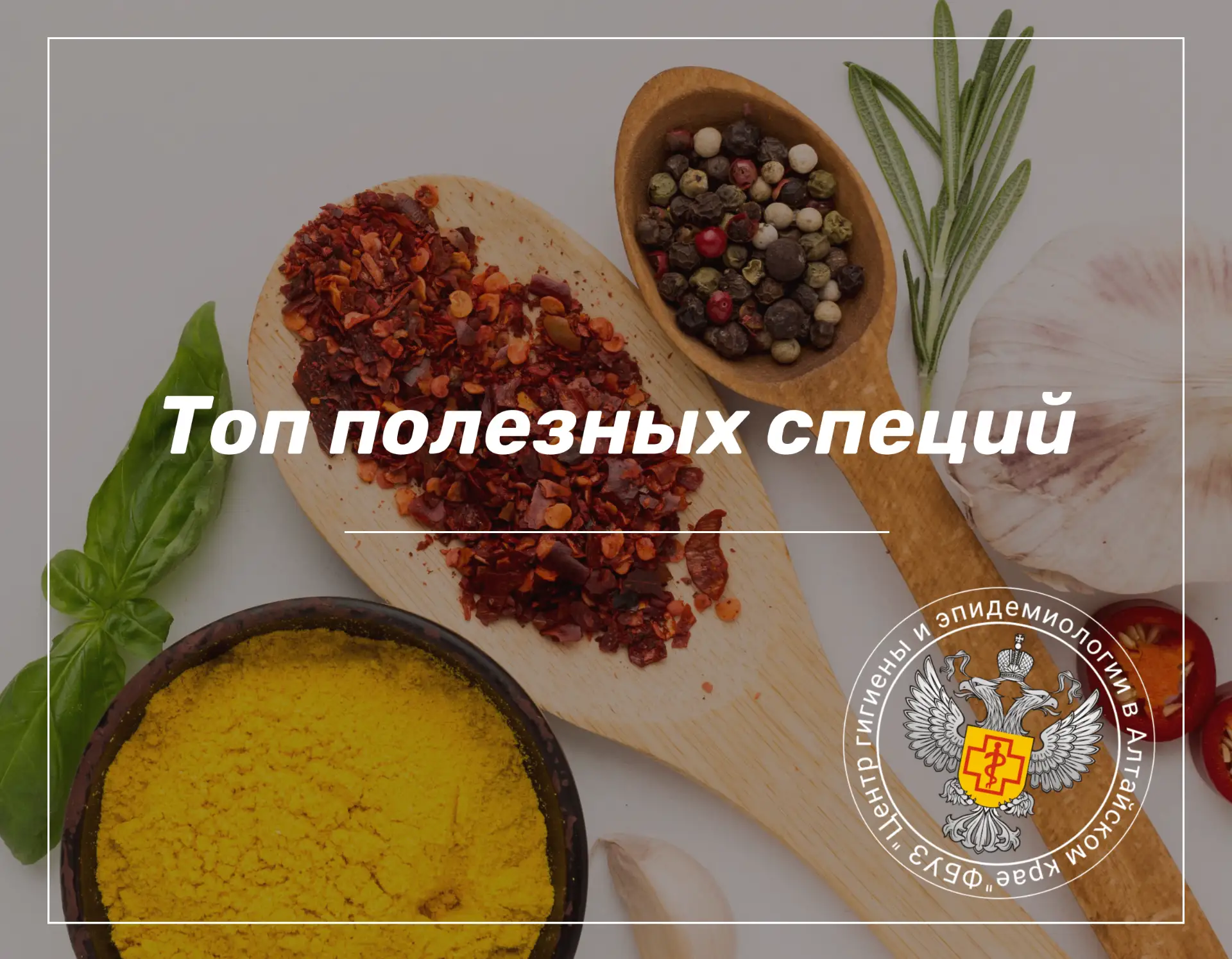 💯Топ полезных специй
Специи не только улучшают вкус блюд, но и содержат витамины, минералы и антиок