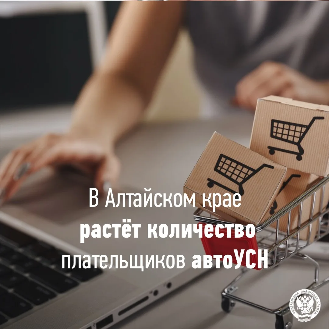 Сегодня в крае спецрежимом воспользовались  5 629 индивидуальных предпринимателей и организаций

🚛 