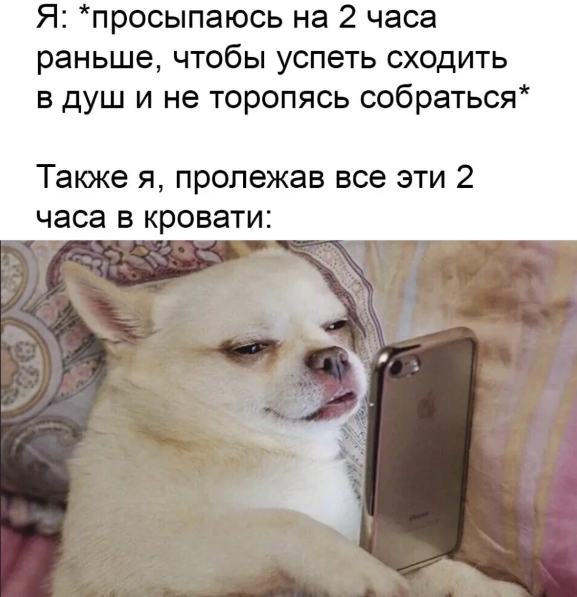 Доброе утро