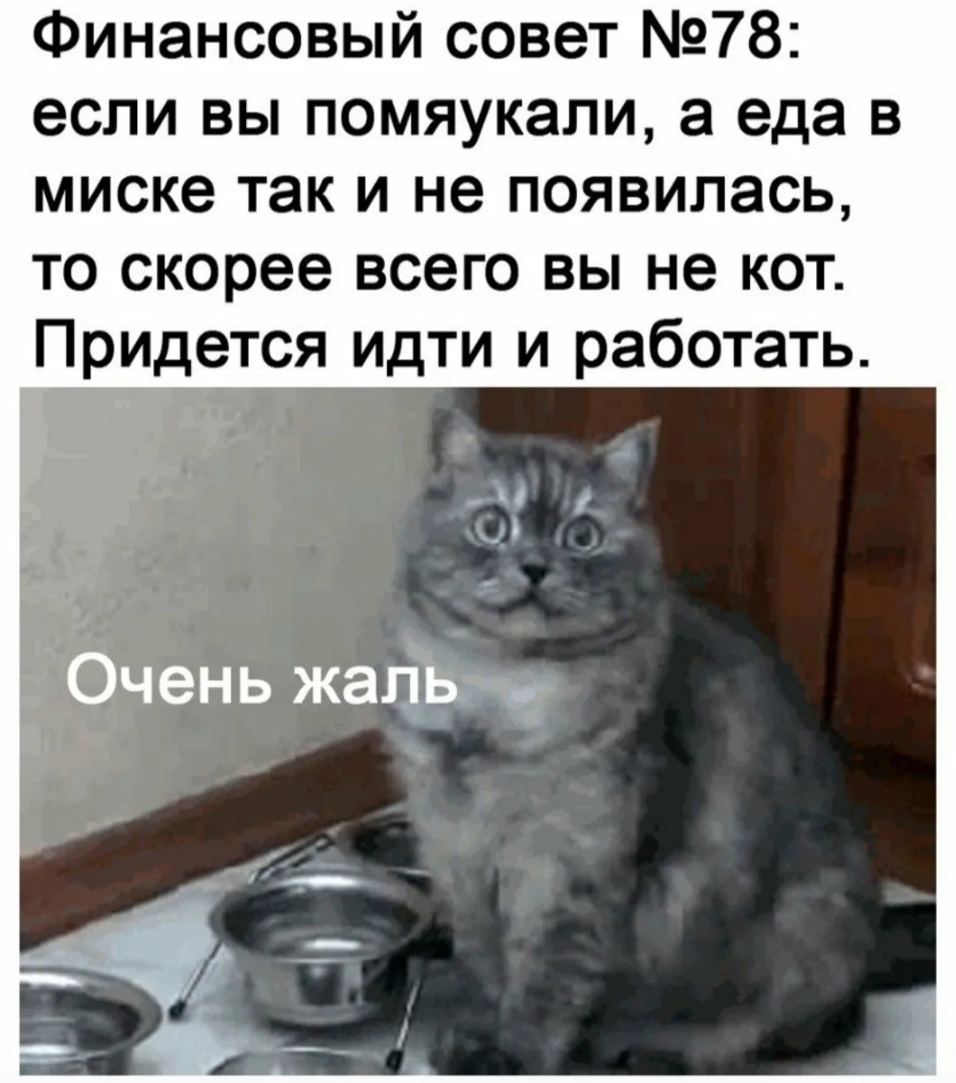 Всем привет! Всё ещё пытаемся разбогатеть). Всего есть 100500 способов, нужно попробовать все)))