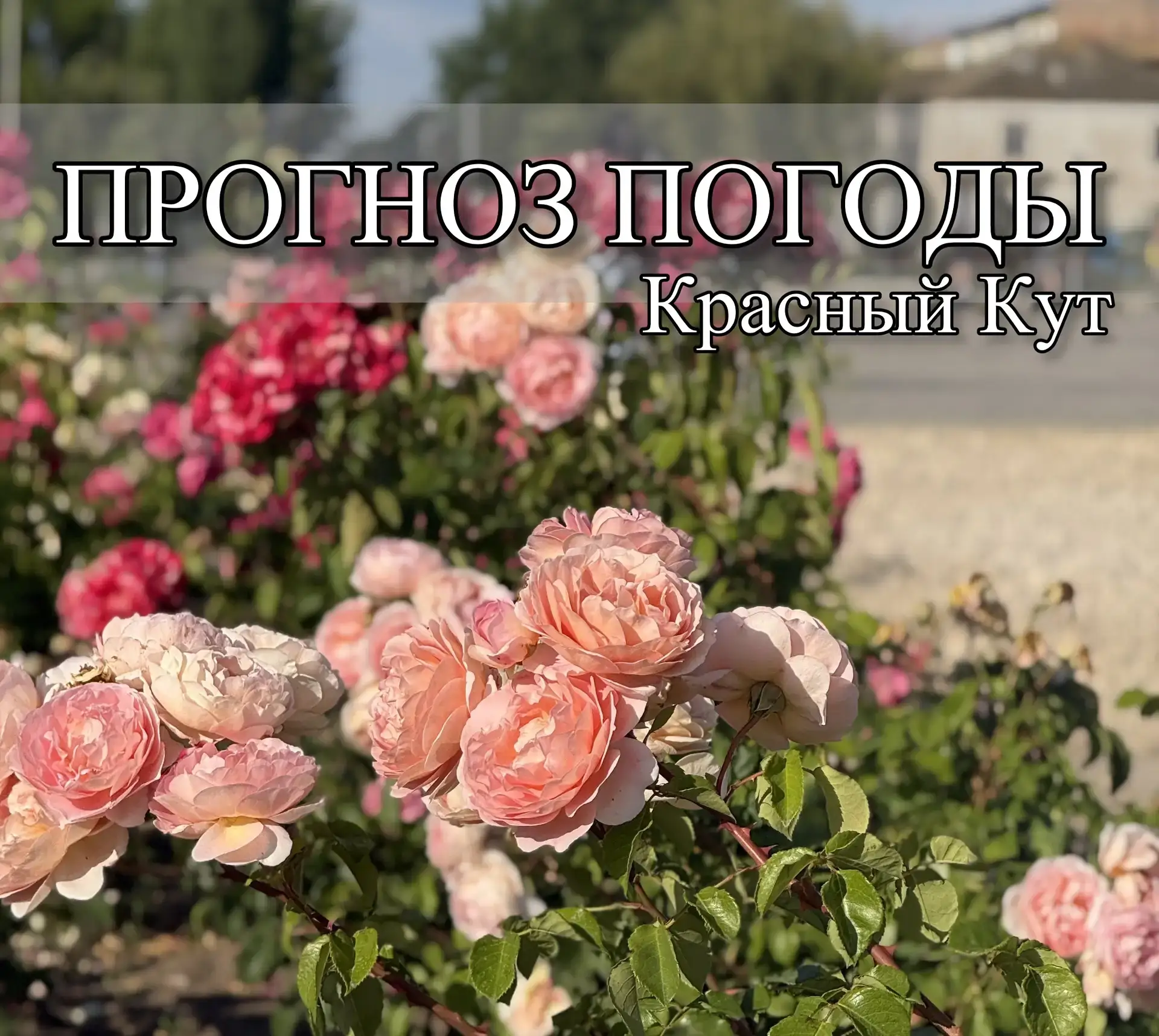 Прогноз погоды⛅

Опасные метеорологические явления (оранжевый уровень опасности): по 22.06.2026 мест