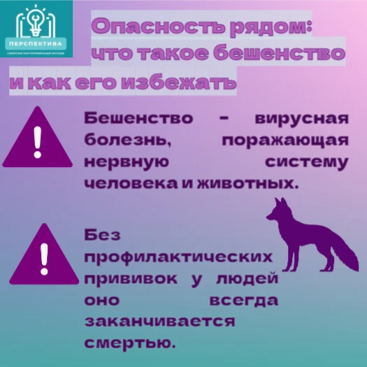 ❗️❗️❗️Бешенство: опасность рядом — защитите себя и близких!
Бешенство — смертельно опасное заболеван