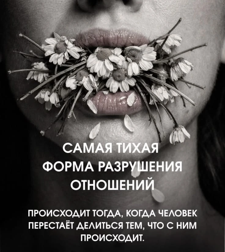 Цитаты жизни