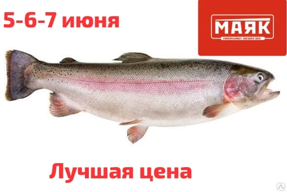 Форель с/м, н/р
Цена 699,90 руб/кг