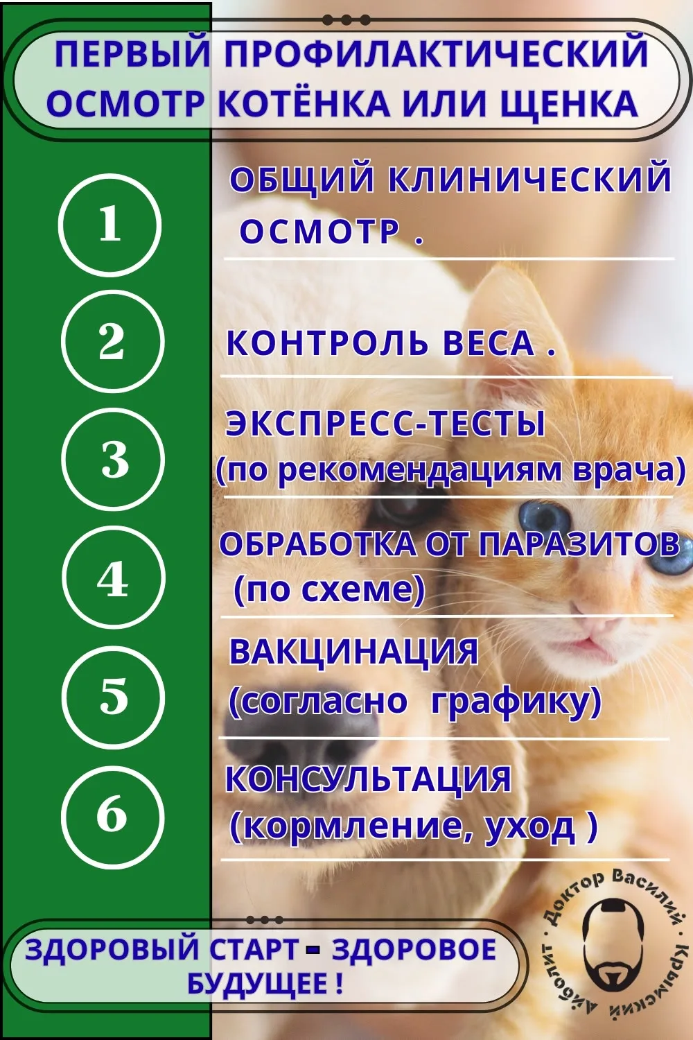 🐾 ПЕРВЫЙ ПРОФИЛАКТИЧЕСКИЙ ОСМОТР КОТЁНКА ИЛИ ЩЕНКА.

✅  Появление нового питомца в доме — радостное